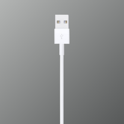 Apple Accessory Charging USB Cable