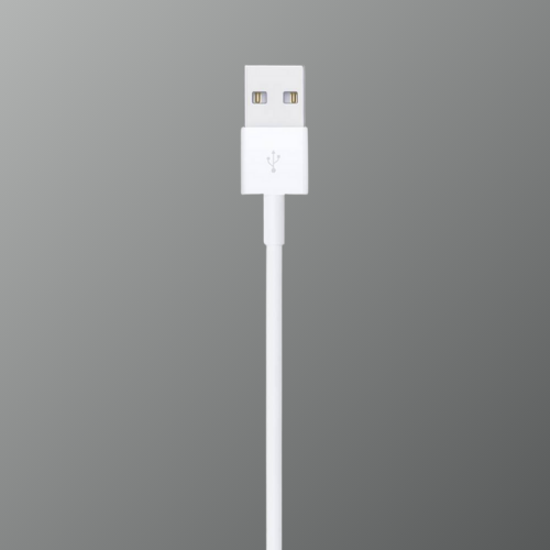 Original Apple Lightning Charging Cable (USB-A to Lightning)